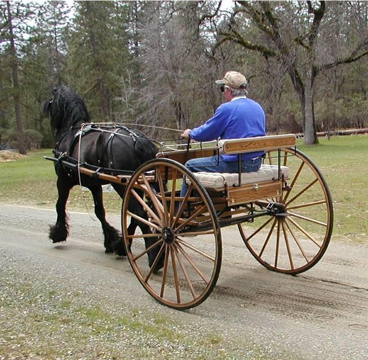 Dales Alick billede 4