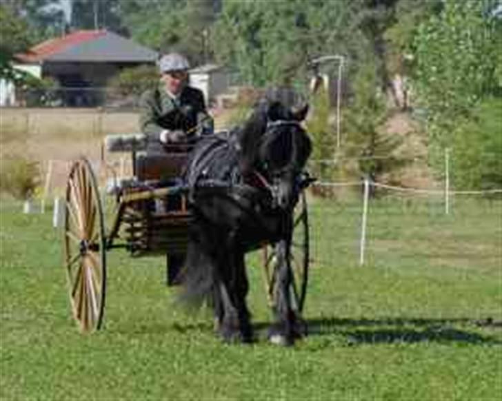 Dales Alick billede 11