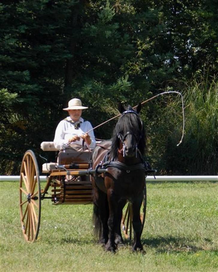 Dales Alick billede 18