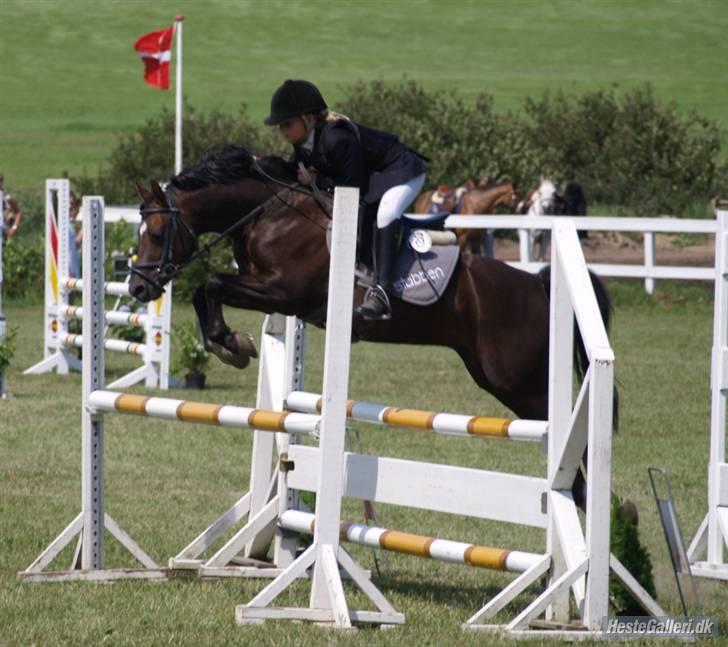 Welsh Pony (sec B) Jedidjan Rufus / R.I.P. / - Rufus <3 billede 15