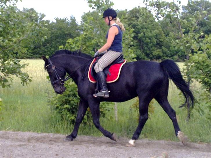 Oldenborg FREJA<3 - Freja 2010 billede 1