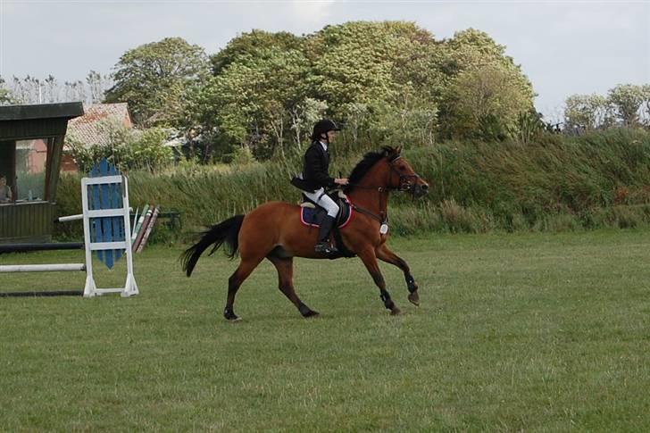 Anden særlig race Flying Star - Mig og Star i Tobøl august 08 :D JEG SAVNER DIG! Foto: Sandra Wanner. billede 4