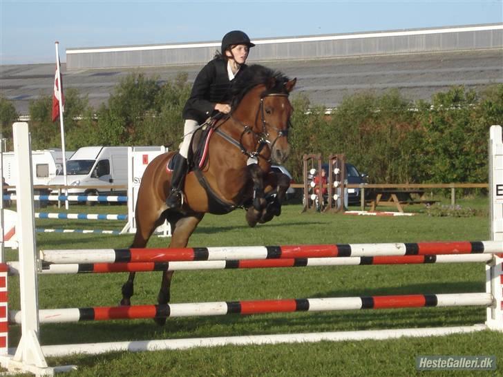 Anden særlig race Flying Star - Mig og Star i Guldager, august 2008 :D <3 JEG SAVNER DIG! Foto: Henriette Visby. billede 5