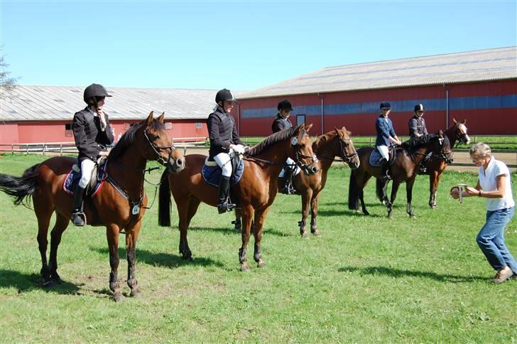 Anden særlig race Flying Star - Til præmieoverrækkelse i Dalby :D Vandt LB (: JEG SAVNER DIG! Foto: Jeppe Conradsen. billede 7