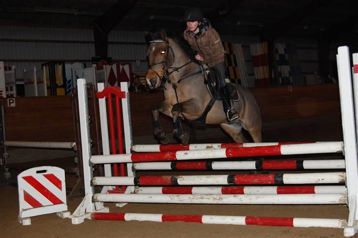 Anden særlig race Flying Star - Mig og Star til undervisning i Guldager :D <3 Jeg elsker Star mere end noget andet <3 JEG SAVNER DIG! Foto: Henriette Visby. billede 9