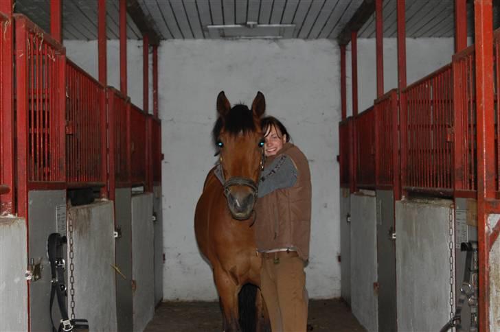 Anden særlig race Flying Star - En perfekt pony! JEG SAVNER DIG! Foto: Simone Lykke Hansen. billede 11