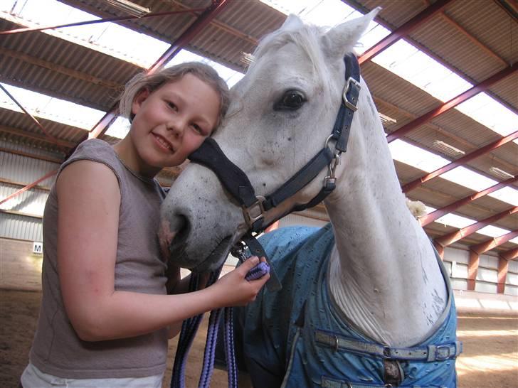 Anden særlig race Søvinds Silvermoon  SOLGT billede 8