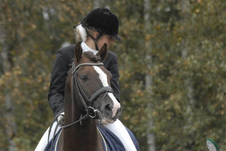 DSP Vasehøjs Kashi *A-Pony* - Sjællandsmesterskab 2009 billede 4