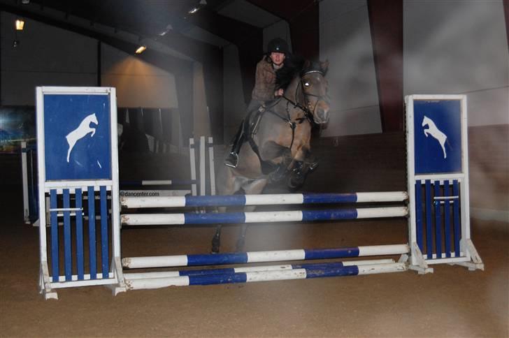 Anden særlig race Flying Star - Til undervisning i Guldager :D JEG SAVNER DIG! Foto: Henriette Visby. billede 13