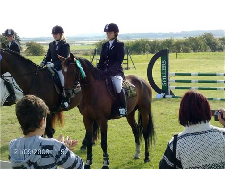 Anden særlig race Engedals E.T. - E.T. og jeg nr 3 til områdemesterskab for hest :D  billede 14