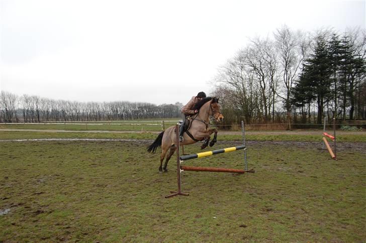 Anden særlig race Flying Star - Mig og Star for allersidste gang - den dag han blev hentet :´( JEG SAVNER DIG! Foto: Min far. billede 17