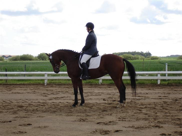 Trakehner Florentine SOLGT - Florentine og jeg i LC2 JMR maj 07 billede 11