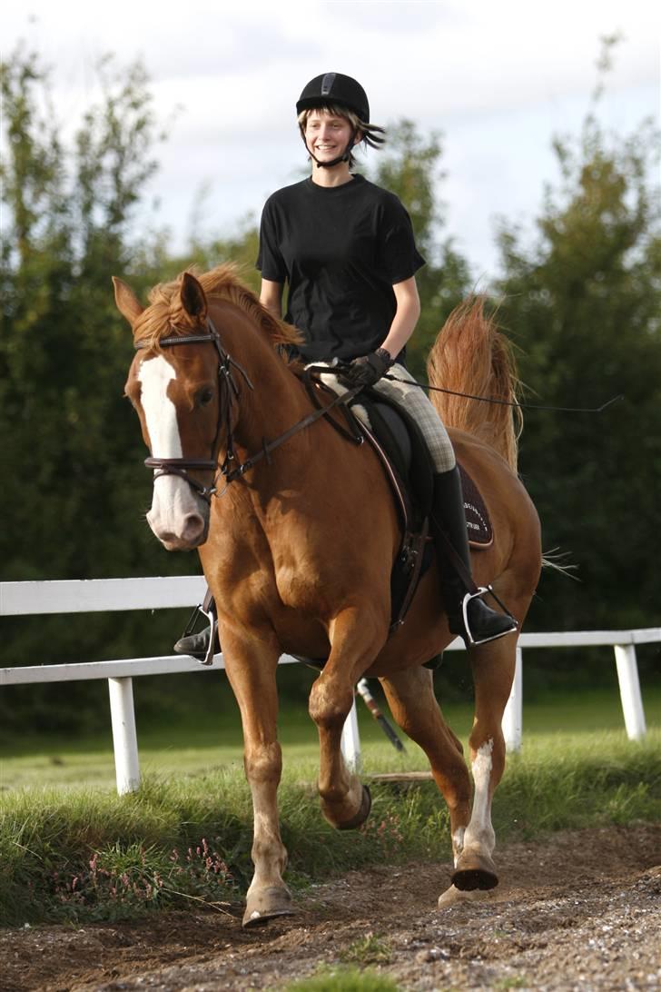 Anden særlig race Samun - så er vi igang med en galop, vi er vidst begge i godt humør :P billede 3