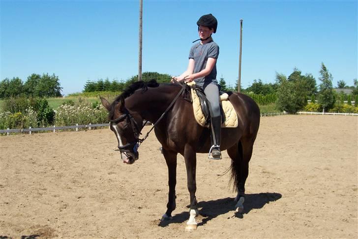 Fuldblod (XX) Dafne (Daffe) - den aller første ridetur på skønheden<3 billede 3