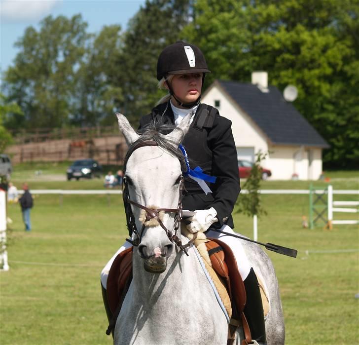 Anden særlig race Skovhyttens Rafini -SOLGT billede 13