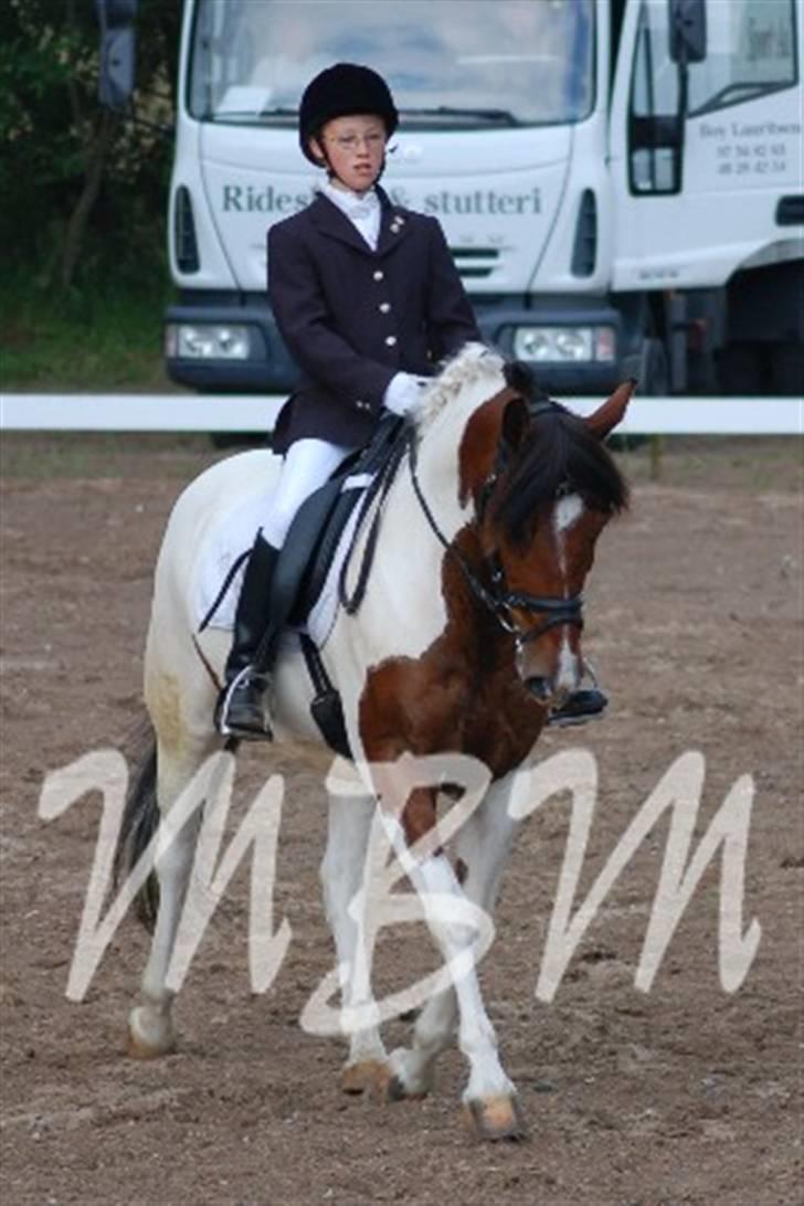 Pinto Twister - Her er vi til stævne i lem:D Lidt træls der står noget på det, men det er fordi jeg har hentet det på lem rideskoles hjemmeside:P billede 3