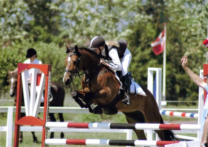 Tysk Sportspony Chemin De Royal  *Solgt - mig og chemin til stævne(: billede 20