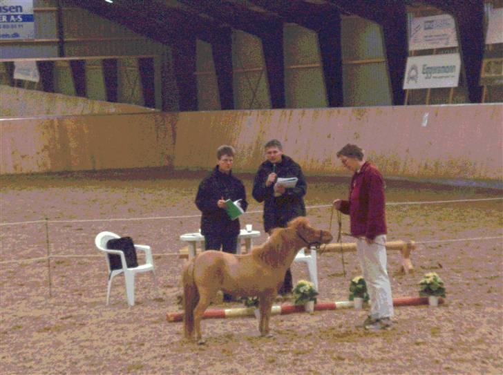 Dansk Miniature Vandstedlunds Antica billede 13