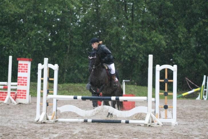 Welsh Pony af Cob-type (sec C) sorte R.I.P :'( :'(  - mig og sorte til stævne wee :D billede 19