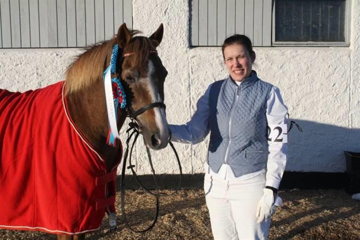 New Forest Folehaves Nathali * klubmester i spring 2013* - Mountain and Moorland show den 6-3-2010 billede 9