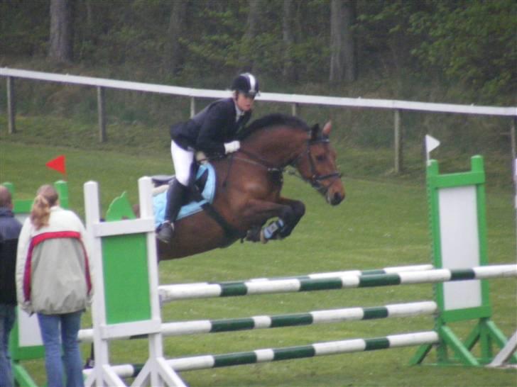 New Forest Tippy  - morsø 08 billede 13