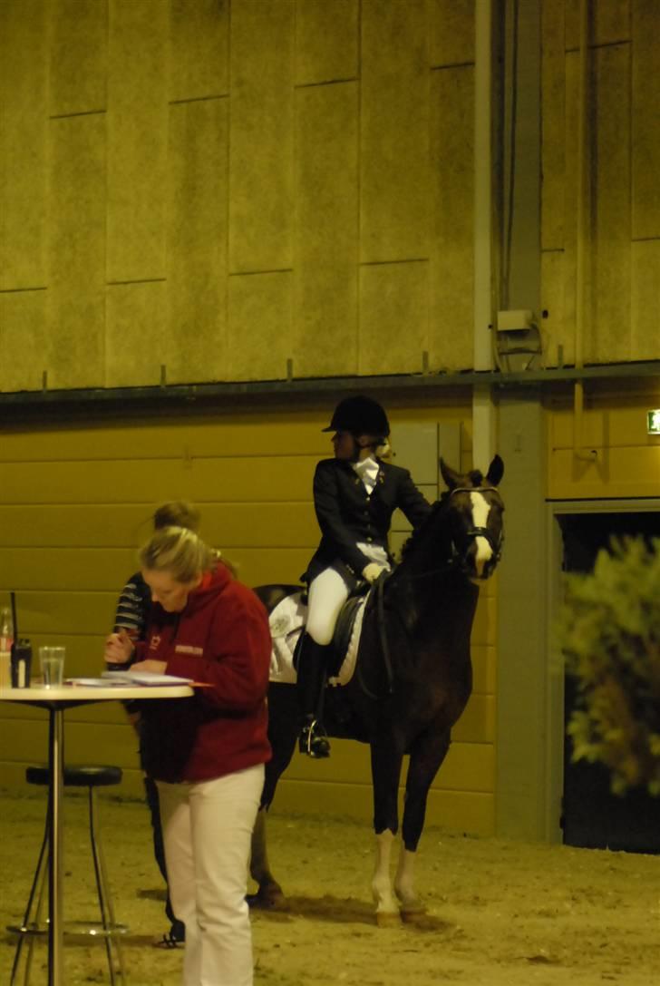 DSP Vasehøjs Kashi *A-Pony* - Herning 2009 billede 10