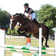 Dansk Varmblod Danger Magic