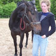 Oldenborg Steffi af Skovvang