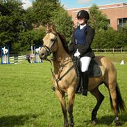 Anden særlig race Dun Dream Doll