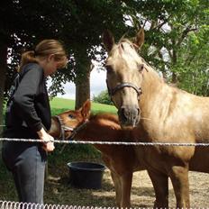 Anden særlig race R.I.P. Blondie ll