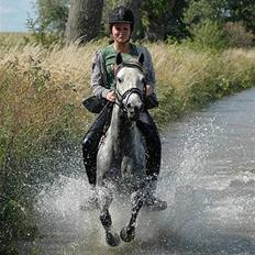 Anden særlig race Rositta. Solgt 2008, aflivet 2011 :-(