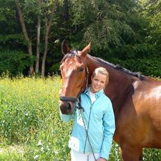 Dansk Varmblod Gørklindtgårds Flash [Tidliger hest]