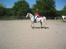 Appaloosa Spotlight / red /