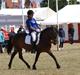 New Forest Elmholts Janeth - SOLGT -
