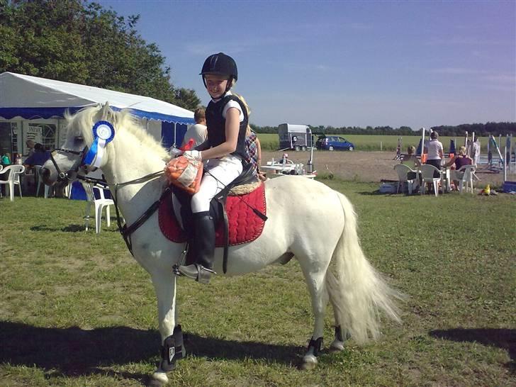 Welsh Mountain (sec A) Edelweis Knold (Dupont)<3 - 2. plads i LD spring. >>Foto: Ditte<< Billedet må ikke kopiers. billede 4