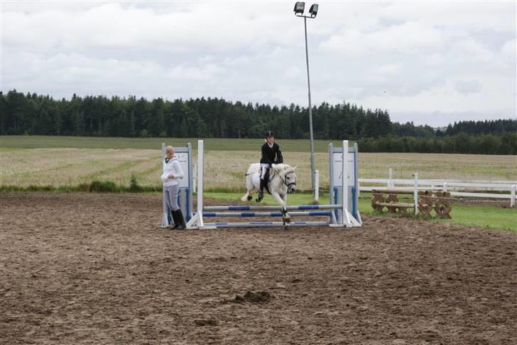 Welsh Mountain (sec A) Edelweis Knold (Dupont)<3 - Springer LC vi fik en 1 plads. >>Foto: Bjarne<< Billedet må ikke kopiers. billede 17