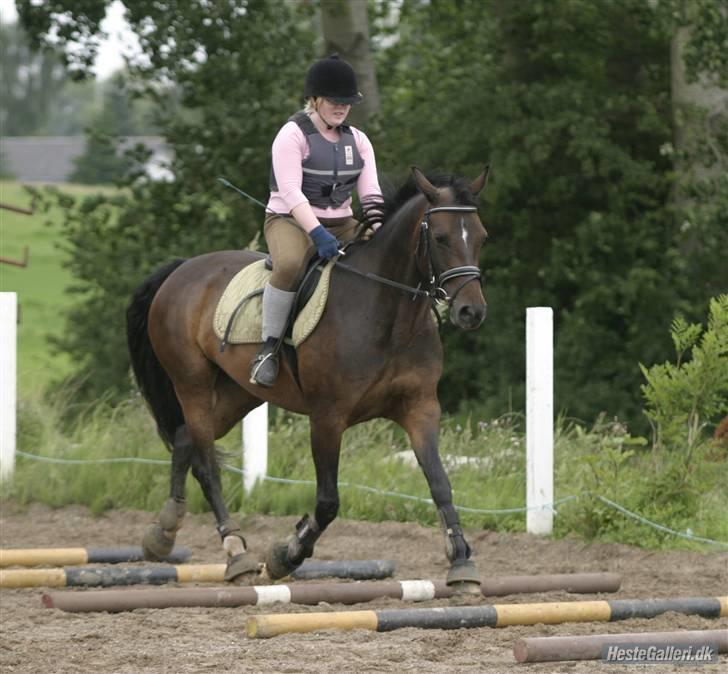 Anden særlig race Ronja (Tidl. hest) - Travbomme.. Hehe til første springtime. billede 5