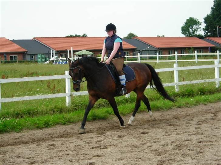 Anden særlig race Ronja (Tidl. hest) - Ronja, min pige <33 billede 11