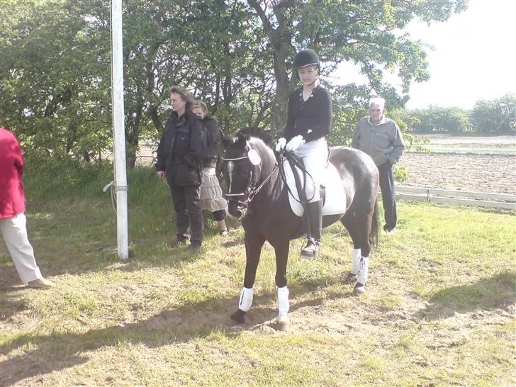 DSP sherrydan - det her billed er til midt første stævne på miin egen pony. billede 1