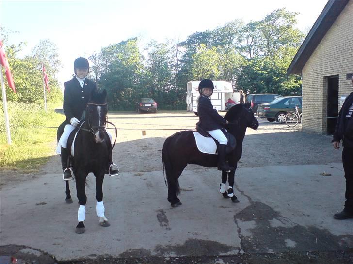 DSP sherrydan - det har er også til midt 2 stævne inden jeg har redet. billede 3