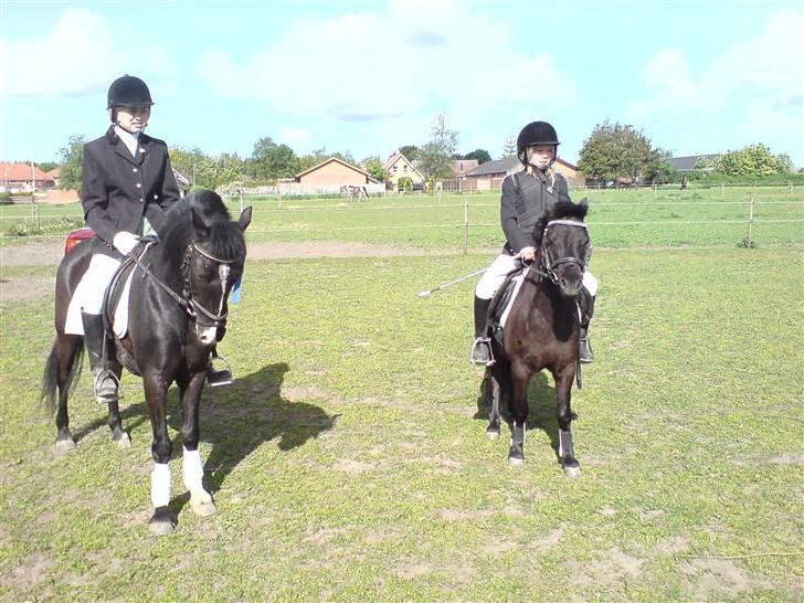 DSP sherrydan - det her er også til midt 2 stævne her er jeg også lige blevet ferdig med at ride. billede 5