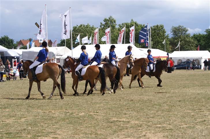 New Forest Elmholts Janeth - SOLGT - - Kvadrille 08. Her i møllen, mig helt ude til højre<33 billede 3