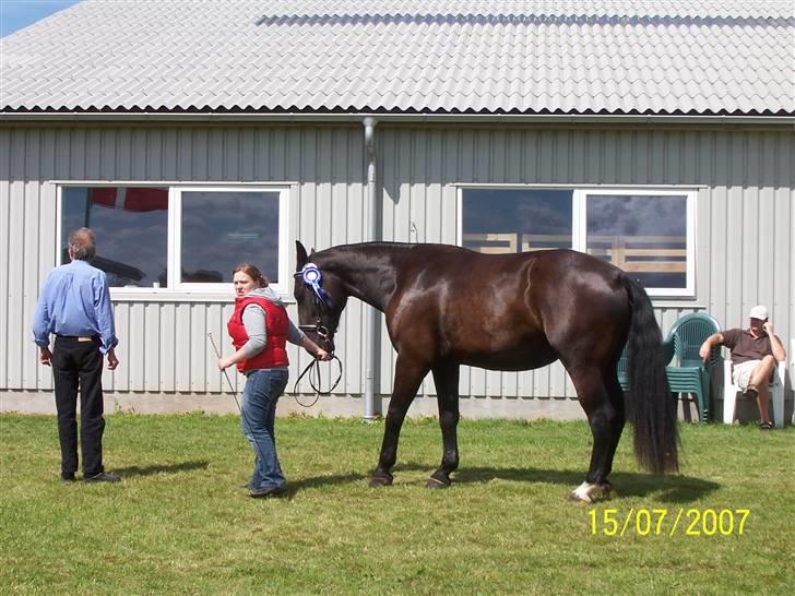 Oldenborg Diosa af stensbjerg - Diosa og mig efter hun er blevet kåret.   billede 8