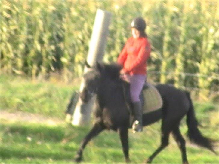 Anden særlig race Yasmin $ilke*solgt - 13: det bedste jeg ved er diiiig<3:) 4 år billede 13