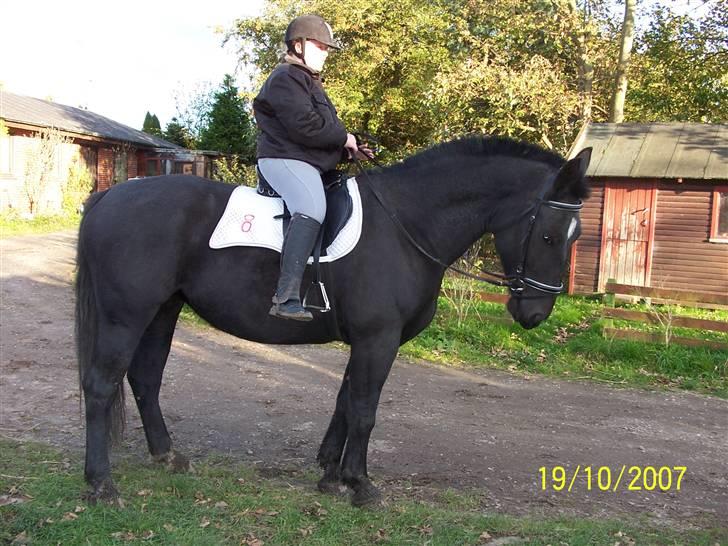 Oldenborg Diosa af stensbjerg - Er hun ikke dejlig???  billede 10