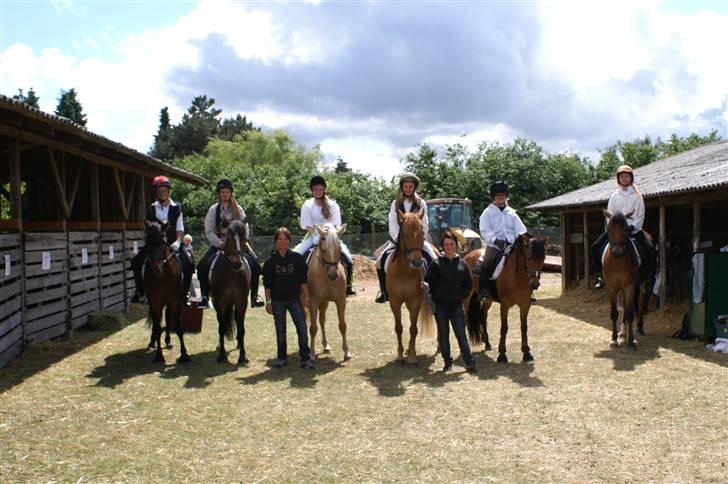 New Forest Elmholts Janeth - SOLGT - - Pirates of the Carribean 08. Mig helt ude til venstre...:D billede 4