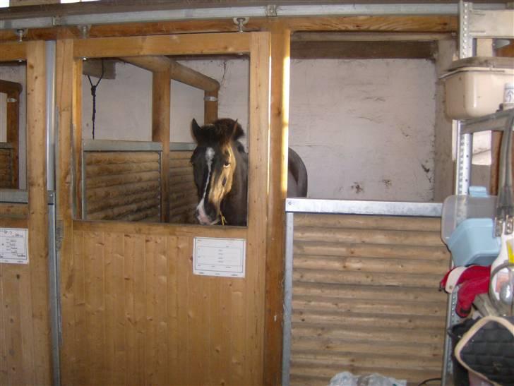 DSP sherrydan billede 7