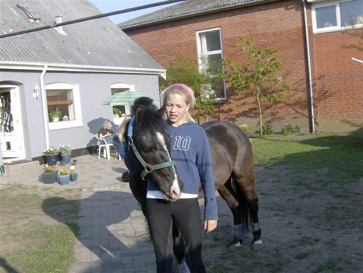 DSP sherrydan billede 8