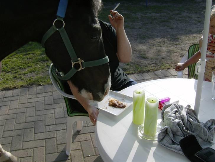 DSP sherrydan billede 9