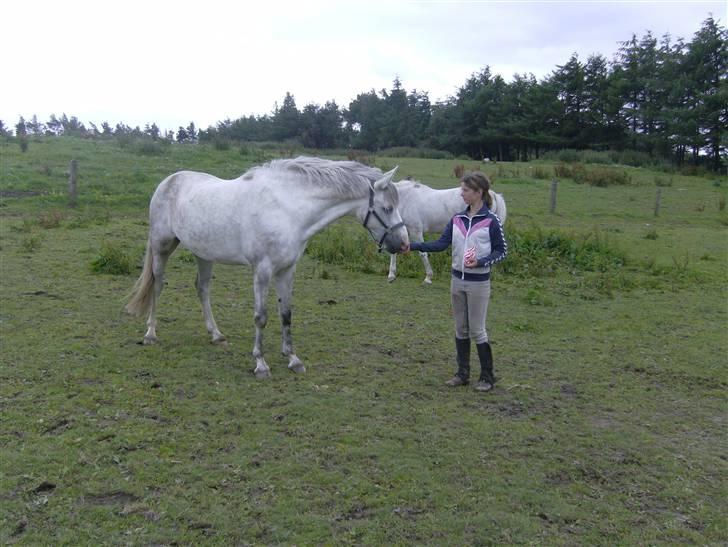 Anden særlig race Milky way - helle er lige henne og give mig en rullerod mmmh billede 15